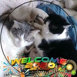 Meet your Posher, Christine